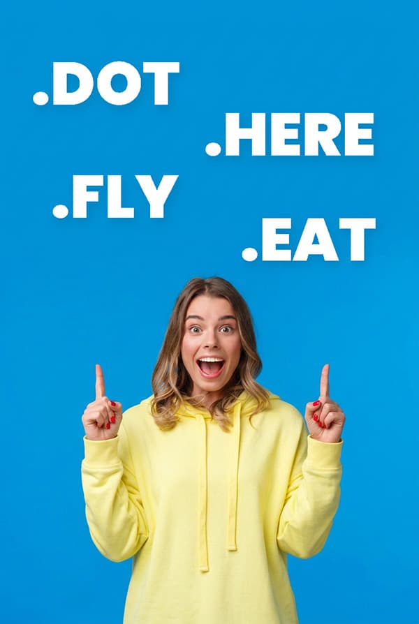 Nové doménové koncovky .DOT, .FLY, .HERE a .EAT